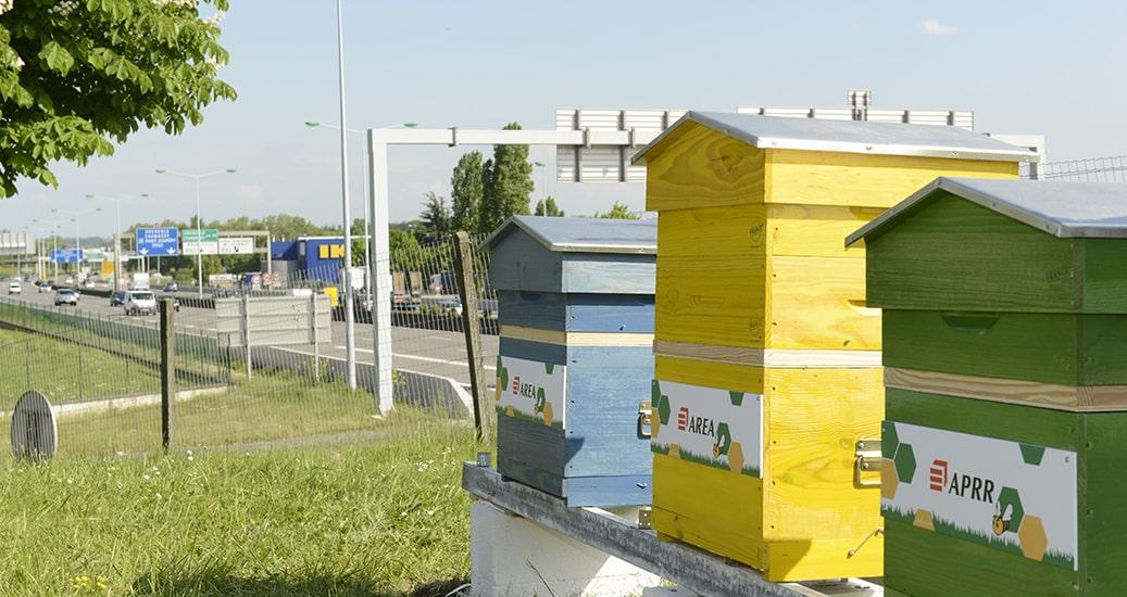 Abeilles ruches APRR AREA