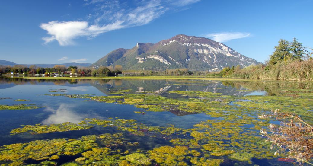 Grand Colombier dans le département de l'Ain