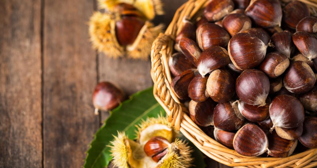 La châtaigne d'Ardèche