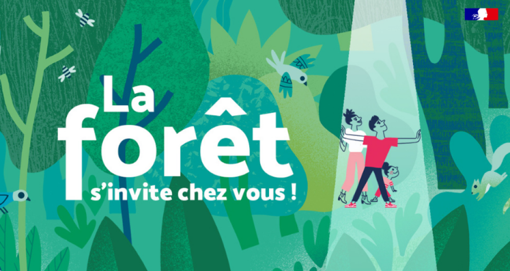 Journée internationale des forêts