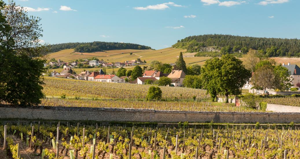 Balades en Saône-et-Loire