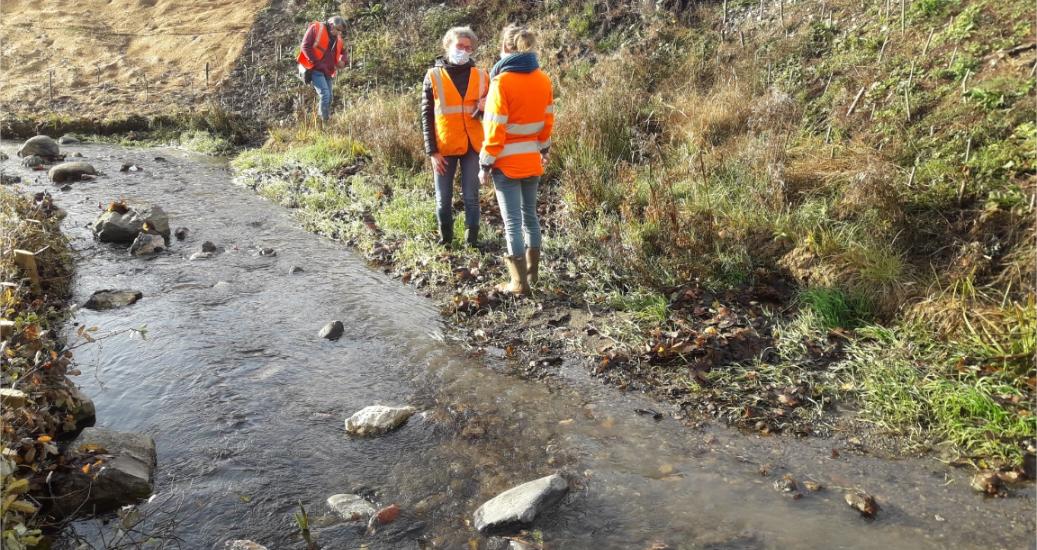 Reméandrage de la rivière Viéran sur A41 nord