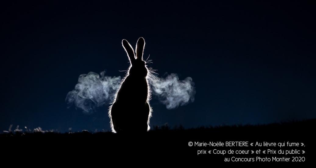 Prix coup de cœur et prix du public au Concours Photo Montier 2020