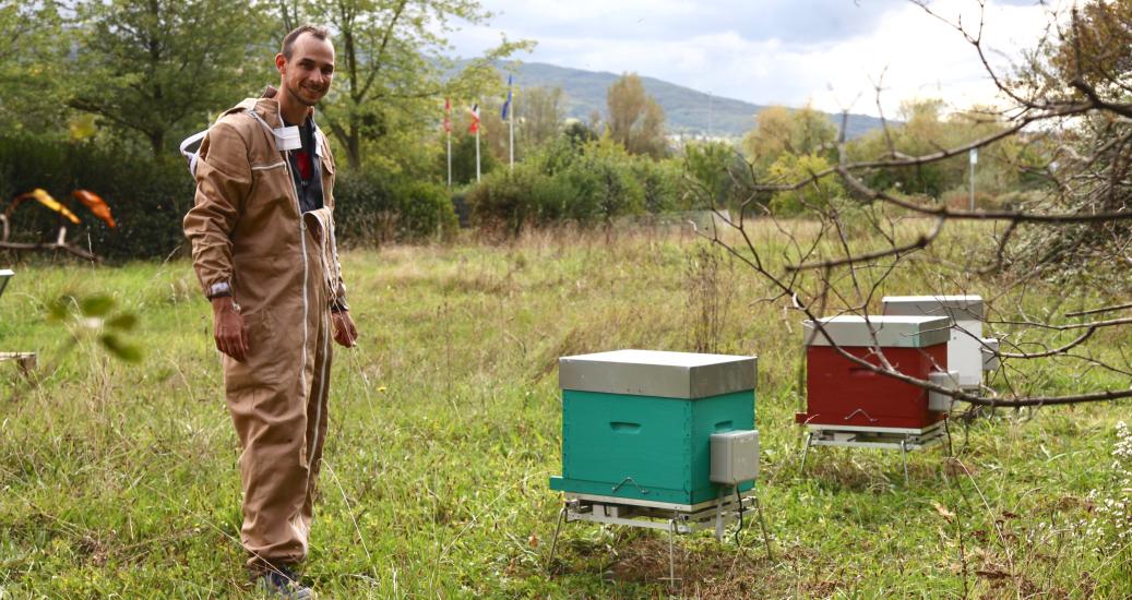 Ruches connectées à Genay, site APRR