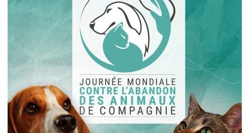 L'affiche de la Journée mondiale contre l'abandon des animaux de compagnie