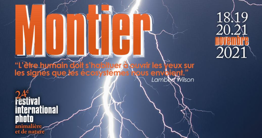 montier-en-der-festival-photo-nature-animaux