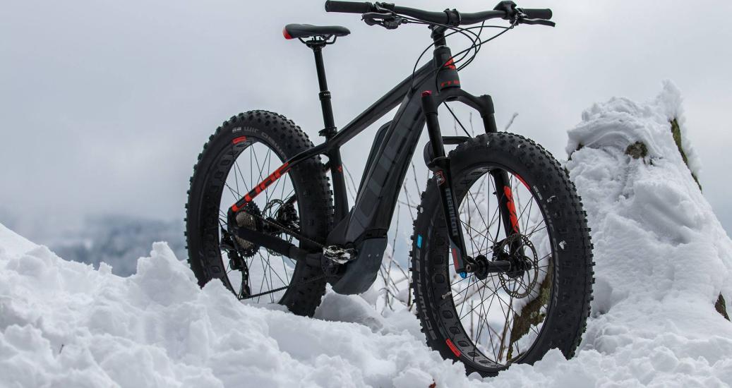 Easy Fat Bike