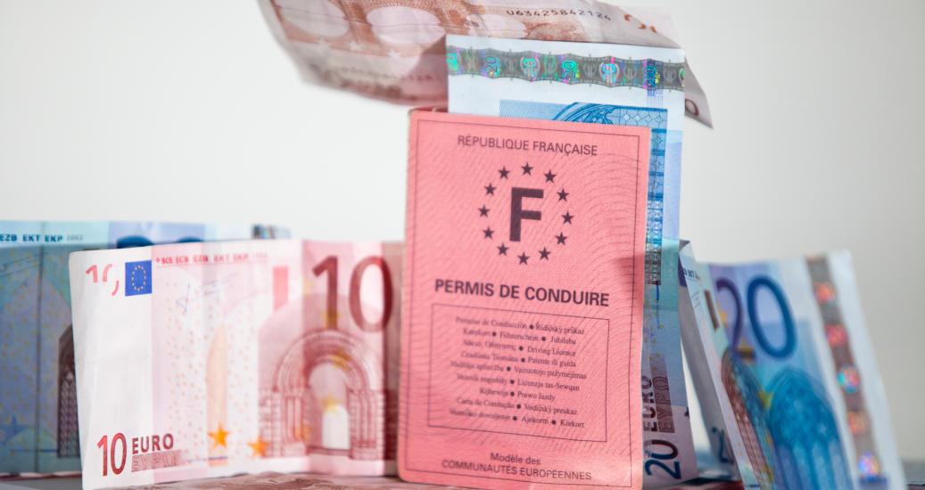 Photo d'un permis de conduire avec des billets de 10 et 20 euros