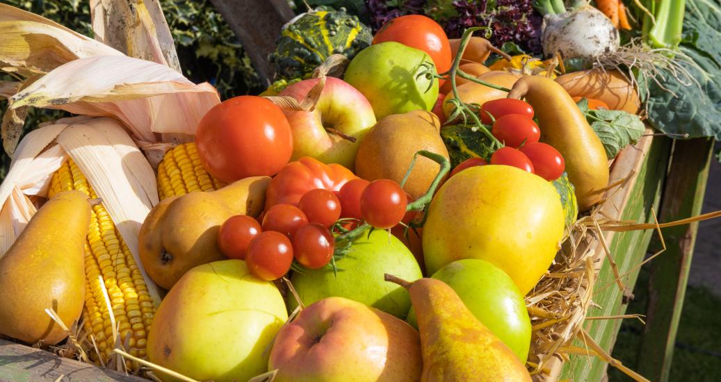 Fruits et légumes