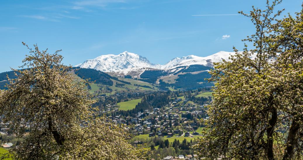 Mont-Blanc depuis Megève