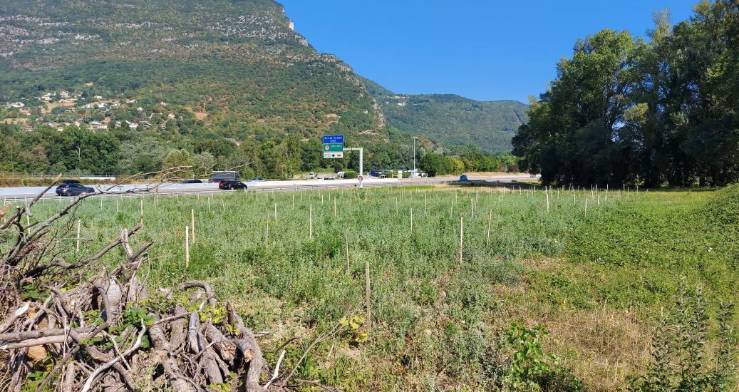 L'entretien des espaces verts 