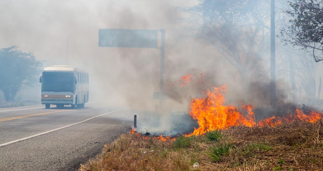 Feu sur le coté de la route