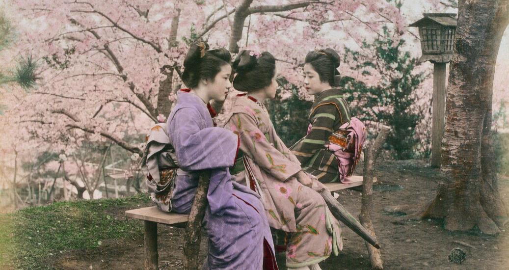 Anonyme, Atelier de Tamamura Kozaburo  Sakura (cerisiers)  vers 1880 