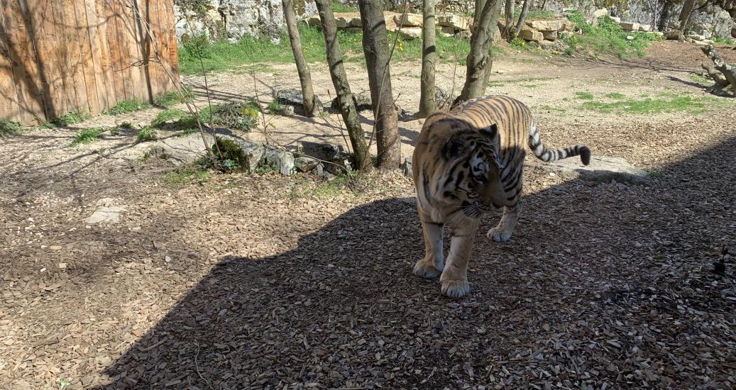 Le parc zoologique de la Citadelle de Besançon