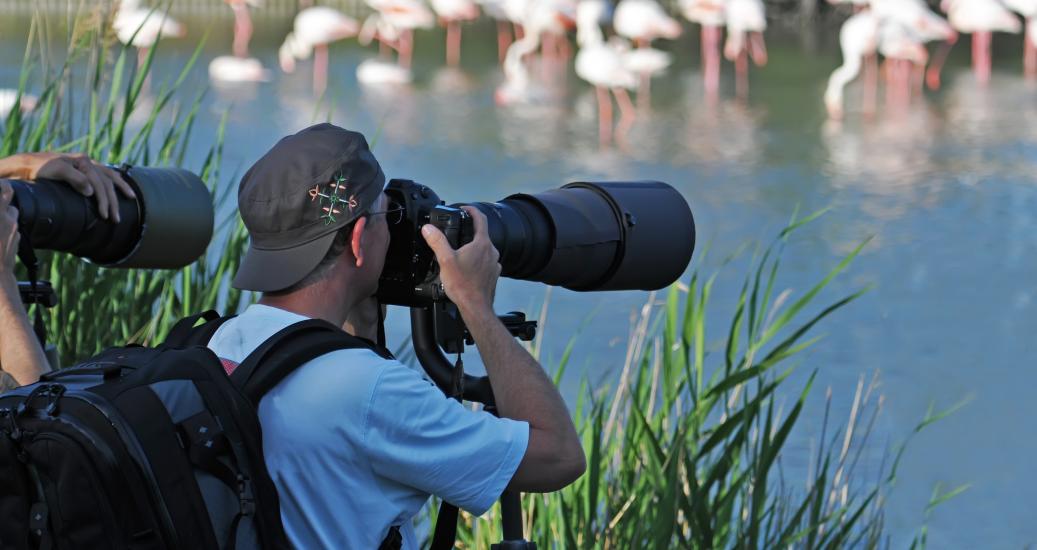 Photographe en pleine nature