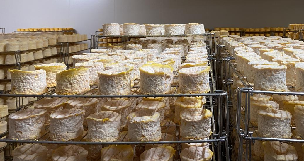 FROMAGERIE REMILLET © Autoroute INFO - Alexia Deligny