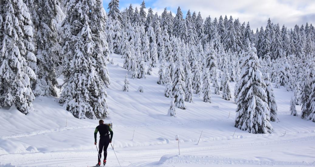 Montagnes du Jura - Haut-Doubs