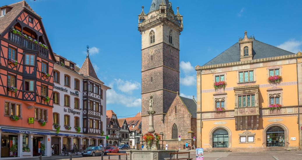 On visite Sélestat, une ville humaniste