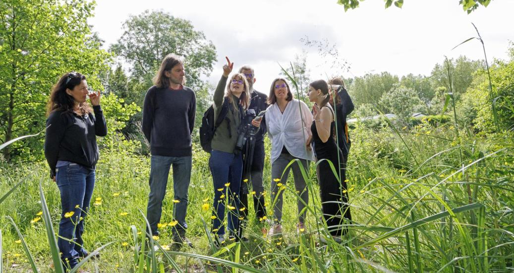 Fête de la nature 2025 : la biodiversité mise à l’honneur