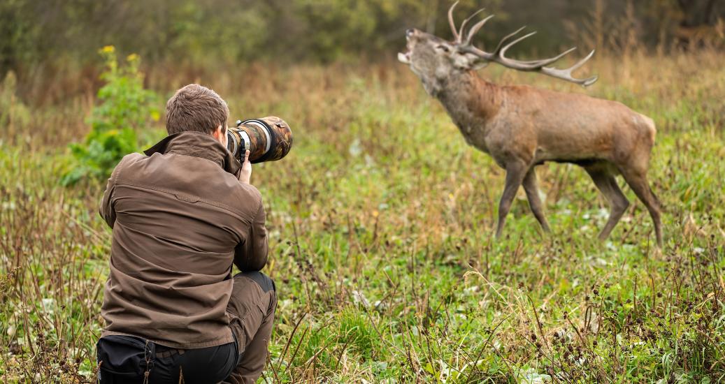 Zoom sur le concours photo nature de Montier-en-Der