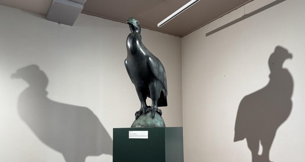 Plongée au cœur du Musée Pompon - Le condor 2025