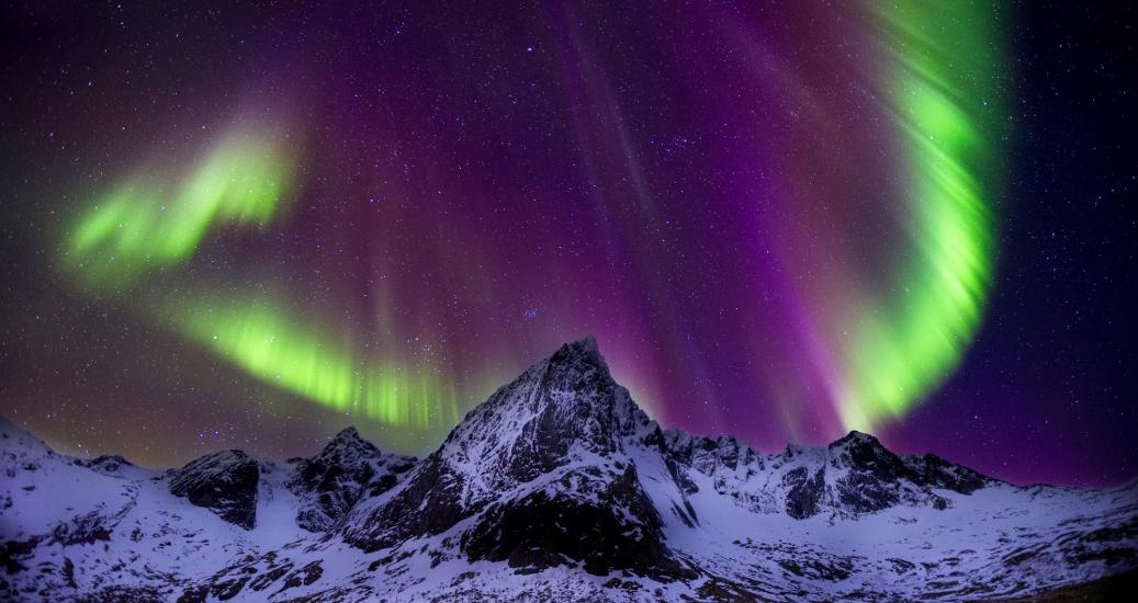 Haute-Savoie : un festival photo vous fait découvrir la nature sous la neige 