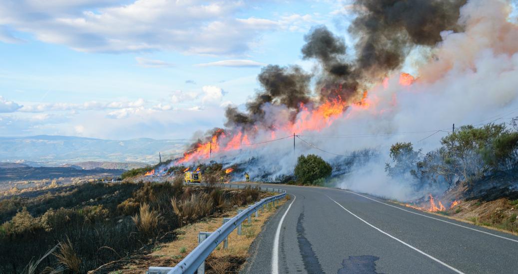Feu bord de route