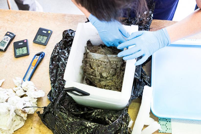 Vase retrouvé lors des fouilles d'Autun