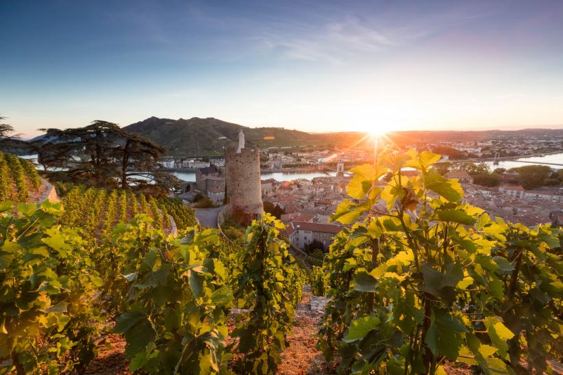 Tournon-sur-Rhône, lever de soleil