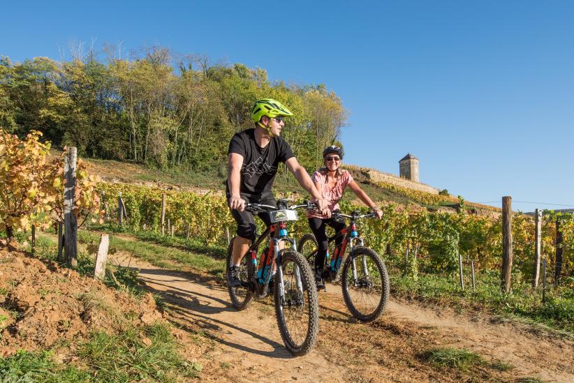 VTT électriques dans les vignes d'Arbois