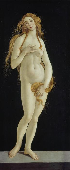 Venus Botticelli