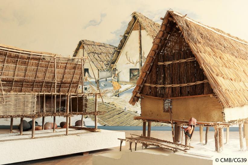 Espace Archéologique, Clairvaux-les-Lacs