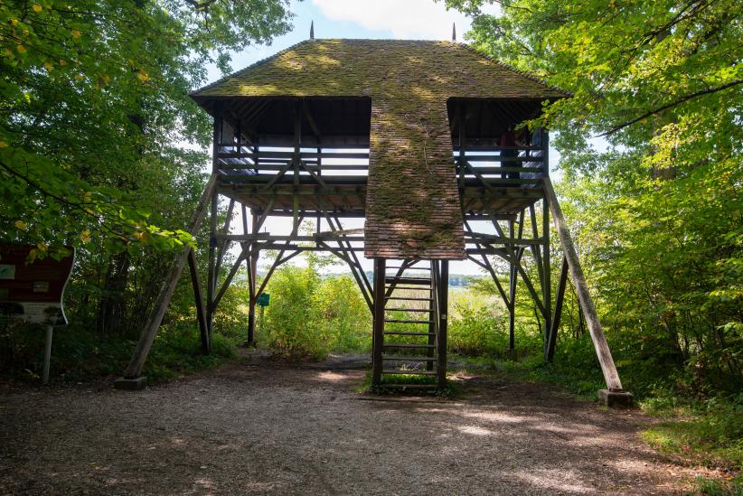 Observatoire à oiseaux, lac du Parc naturel régional de la forêt d'Orient