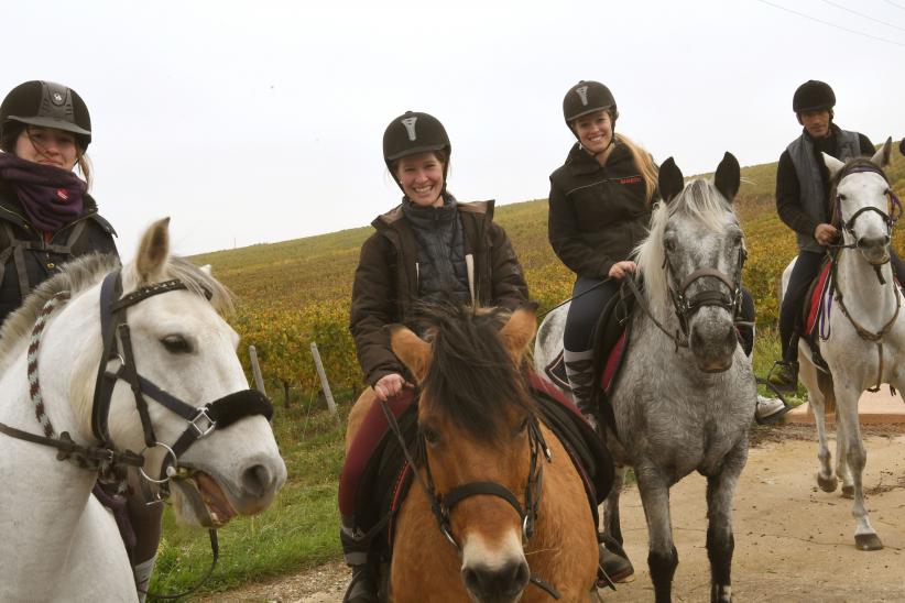 Des cavalières et cavaliers de la Tournuscimes