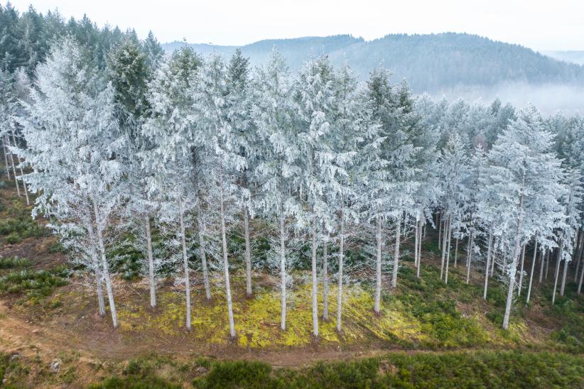 Parc du Morvan hiver
