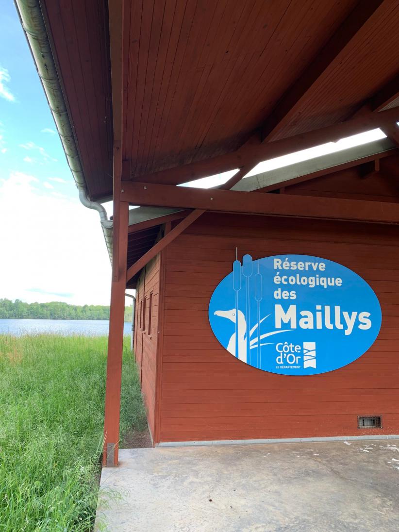 l'étape 1 des cyclistes, la réserve écologique des Maillys 