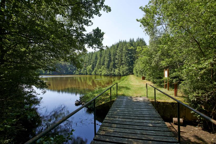 paysage du Morvan