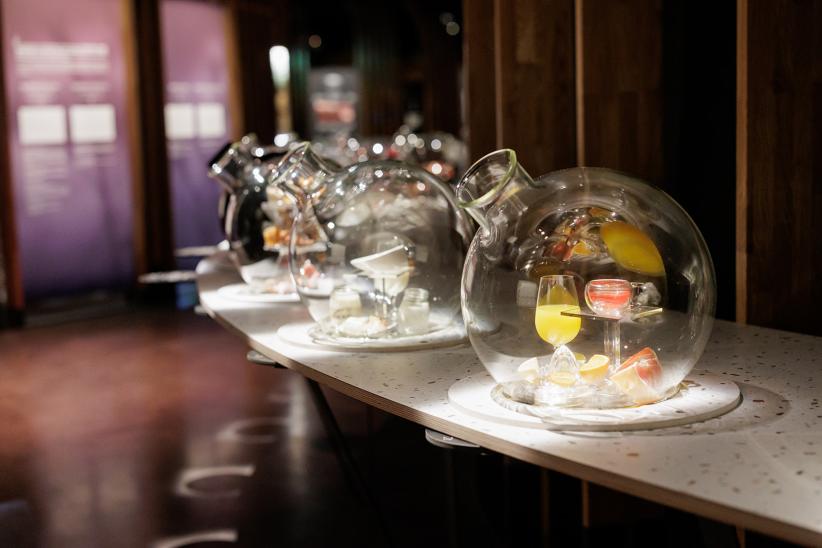 Cite des Climats de Beaune Scénographie