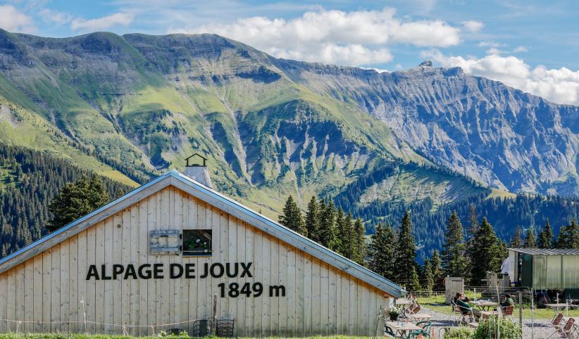 L'Alpage de Joux fait partie des fermes participant aux itinéraires gourmands