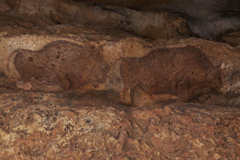 Sites préhistoriques de la vallée de la Vézère