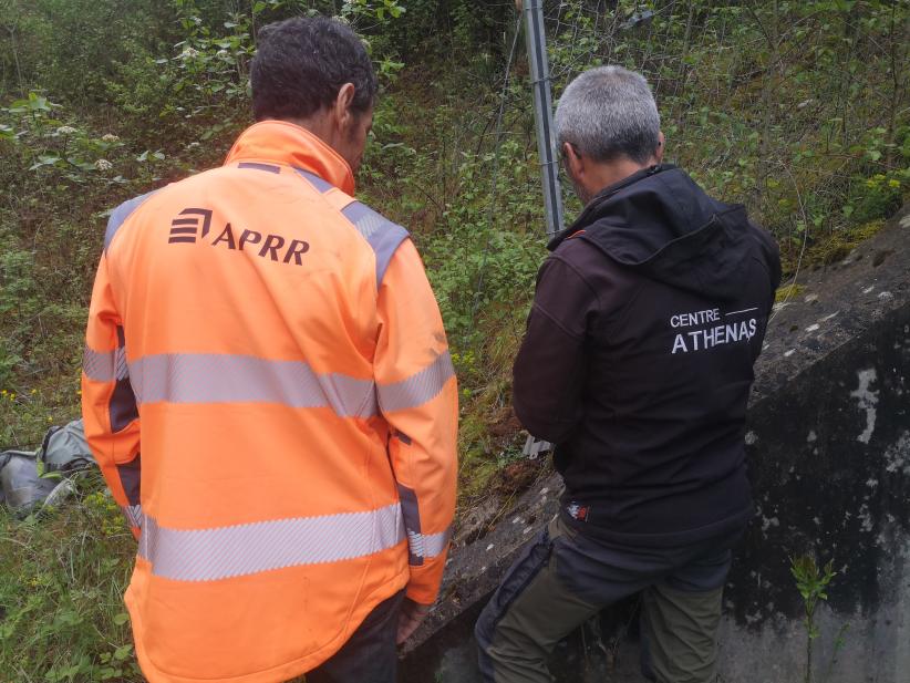 Deux hommes, de dos avec l'un ayant une veste orange APRR et l'autre une veste noire Centre Athénas, en train de regarder un piège photographique