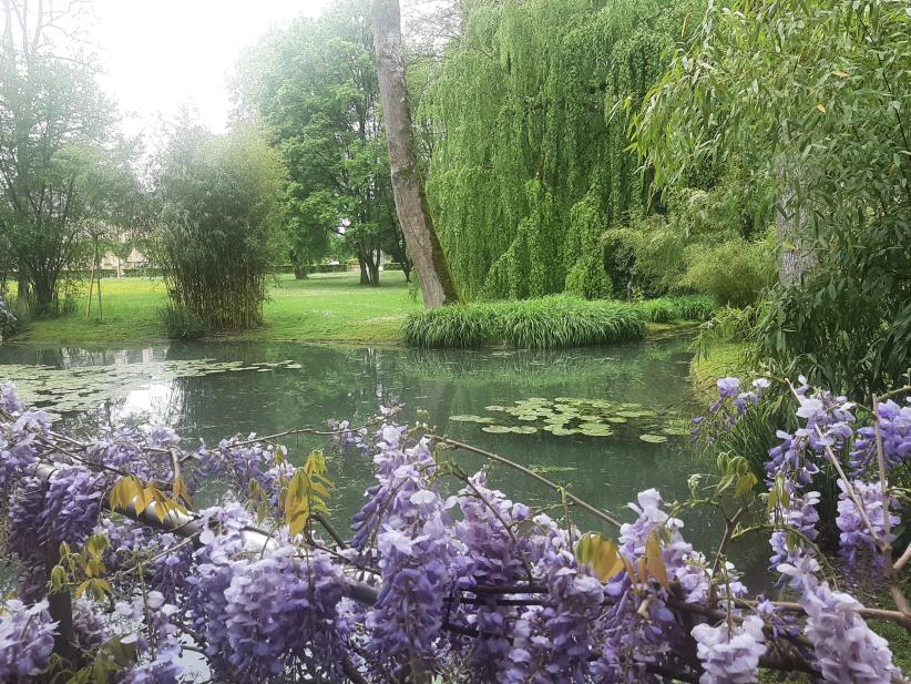 Joinville château du Grand Jardin fleurs