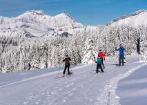 Image d'illustration d'une famille pratiquant le ski de fond dans un décor enneigé