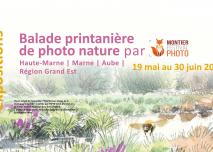 Affiche des expos Balade printanière de photo nature