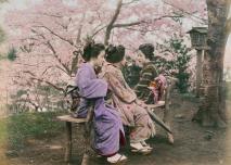Anonyme, Atelier de Tamamura Kozaburo  Sakura (cerisiers)  vers 1880 