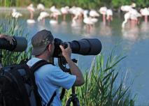 Photographe en pleine nature