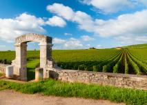 vignoble Bourgogne