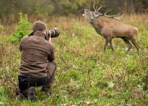 Zoom sur le concours photo nature de Montier-en-Der