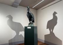 Plongée au cœur du Musée Pompon - Le condor 2025