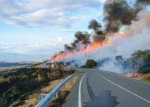 Feu bord de route